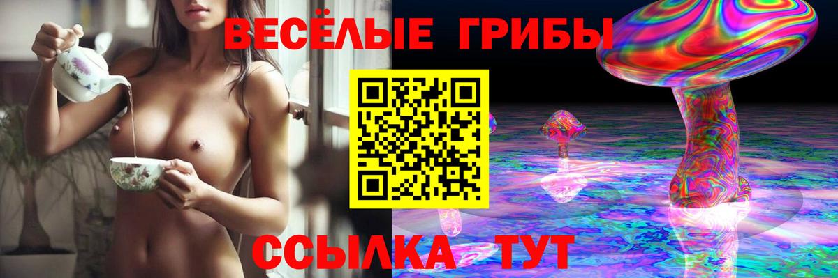 Сланцы  Галлюциногенные грибы ЛСД  Вход с VPN  Псилоцибиновые грибы мухоморы 